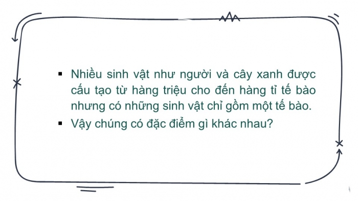 Giáo án PPT KHTN 6 cánh diều Bài 13: Từ tế bào đến cơ thể