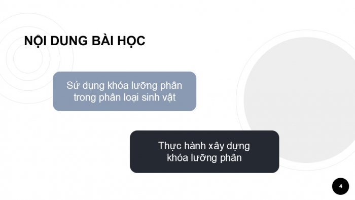 Giáo án PPT KHTN 6 cánh diều Bài 15: Khoá lưỡng phân