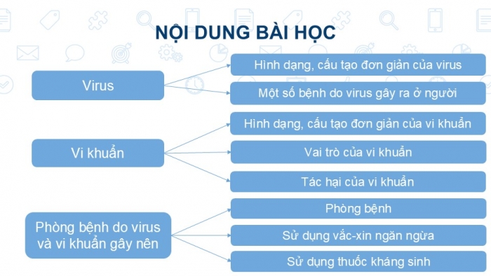 Giáo án PPT KHTN 6 cánh diều Bài 16: Virus và vi khuẩn