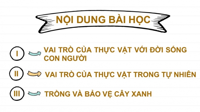 Giáo án PPT KHTN 6 cánh diều Bài 20: Vai trò của thực vật trong đời sống và trong tự nhiên