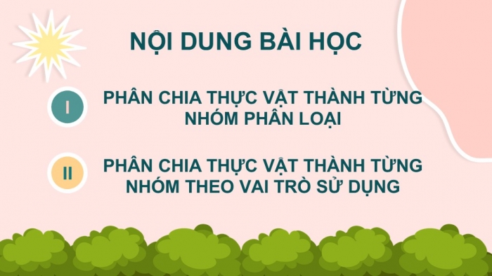 Giáo án PPT KHTN 6 cánh diều Bài 21: Thực hành phân chia các nhóm thực vật