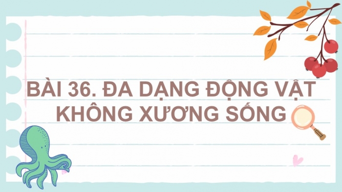 Giáo án PPT KHTN 6 cánh diều Bài 22: Đa dạng động vật không xương sống