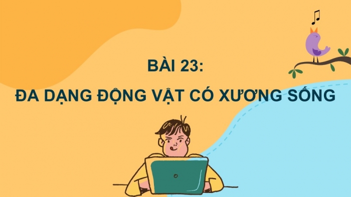 Giáo án PPT KHTN 6 cánh diều Bài 23: Đa dạng động vật có xương sống