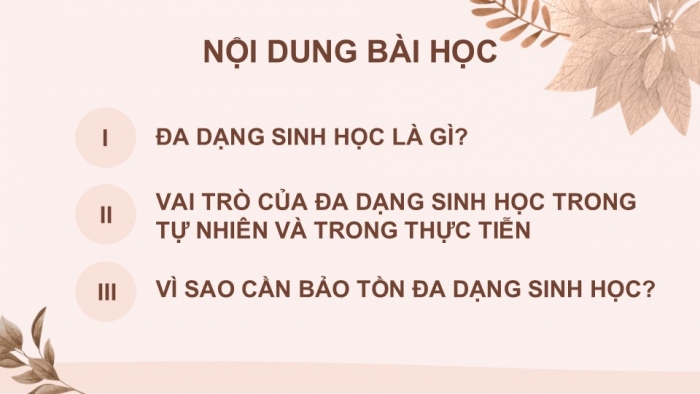 Giáo án PPT KHTN 6 cánh diều Bài 24: Đa dạng sinh học