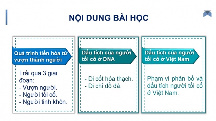 Giáo án PPT Lịch sử 6 cánh diều Bài 3: Nguồn gốc loài người