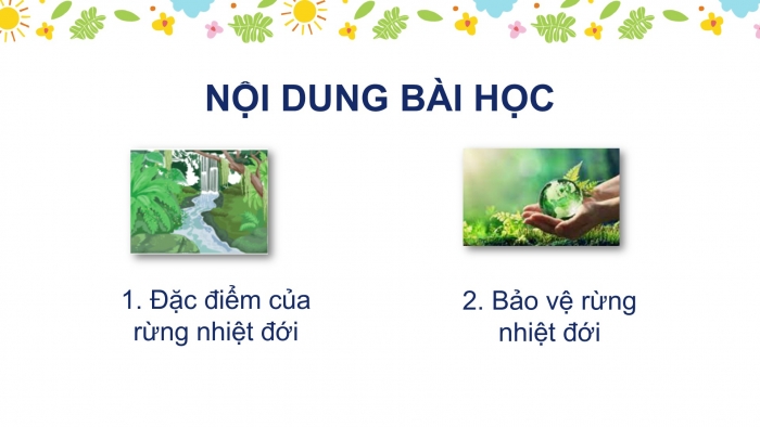 Giáo án PPT Địa lí 6 kết nối Bài 24: Rừng nhiệt đới