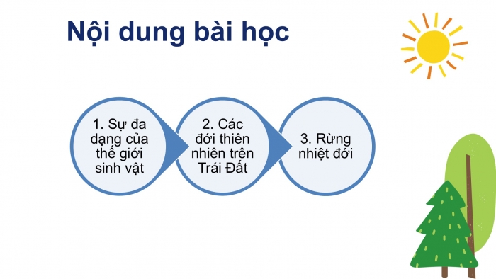 Giáo án PPT Địa lí 6 cánh diều Bài 22: Sự đa dạng của thế giới sinh vật. Các đới thiên nhiên trên Trái Đất. Rừng nhiệt đới