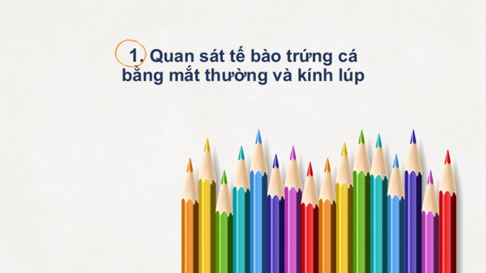 Giáo án PPT KHTN 6 chân trời Bài 18: Thực hành quan sát tế bào thực vật