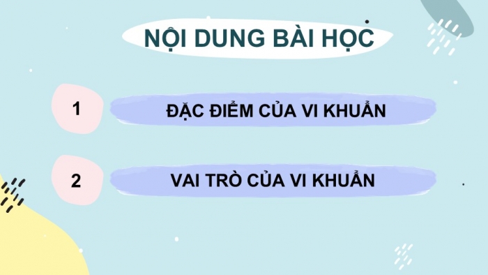 Giáo án PPT KHTN 6 chân trời Bài 25: Vi khuẩn