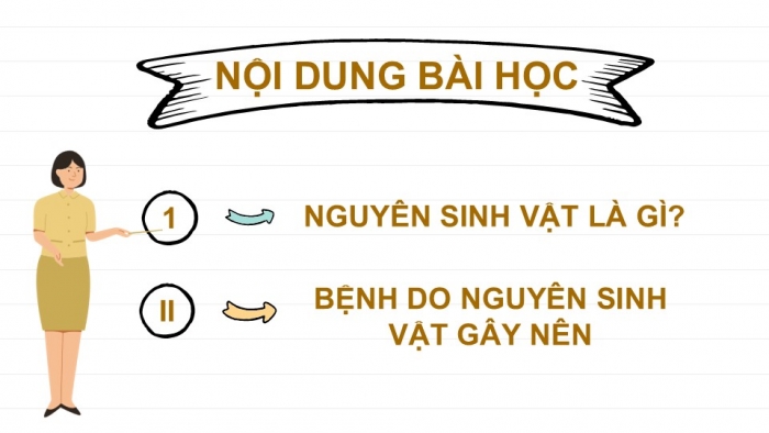 Giáo án PPT KHTN 6 chân trời Bài 27: Nguyên sinh vật