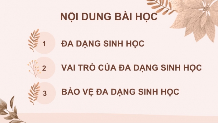 Giáo án PPT KHTN 6 chân trời Bài 33: Đa dạng sinh học