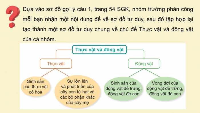 Giáo án điện tử Khoa học 5 cánh diều Bài Ôn tập chủ đề Thực vật và động vật