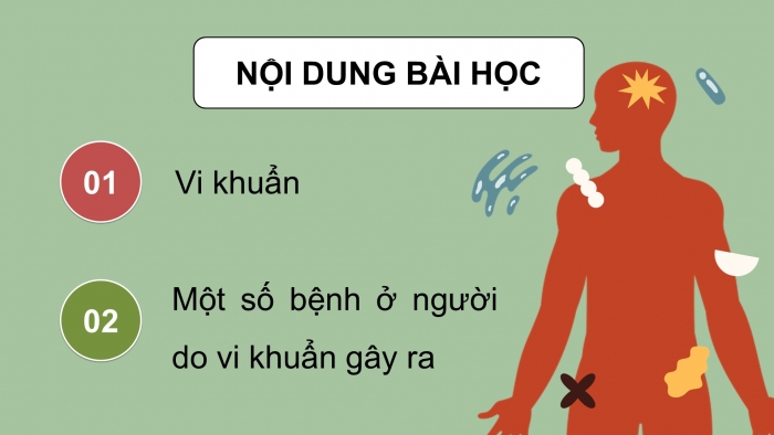 Giáo án điện tử Khoa học 5 cánh diều Bài 12: Vi khuẩn và vi khuẩn gây bệnh ở người