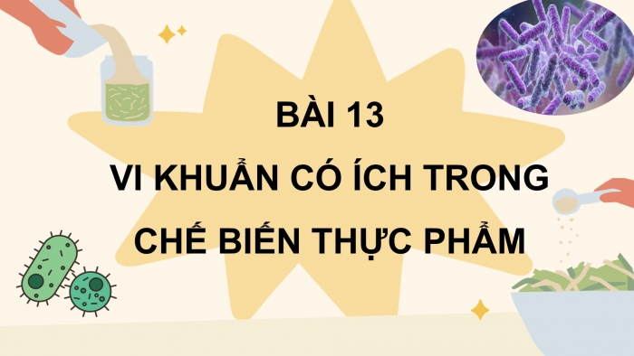 Giáo án điện tử Khoa học 5 cánh diều Bài 13: Vi khuẩn có ích trong chế biến thực phẩm