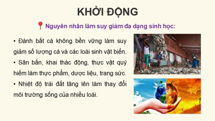 Giáo án điện tử Hoạt động trải nghiệm 12 chân trời bản 2 Chủ đề 6: Bảo tồn động vật, thực vật và cảnh quan thiên nhiên (P1)