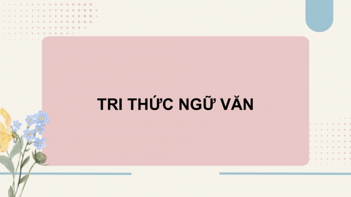 Giáo án điện tử Ngữ văn 9 kết nối Bài 6: Thực hành tiếng Việt (2)