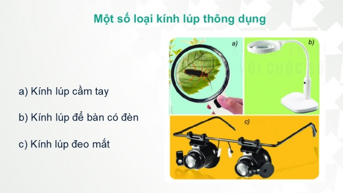 Giáo án PPT KHTN 6 kết nối Bài 3: Sử dụng kính lúp