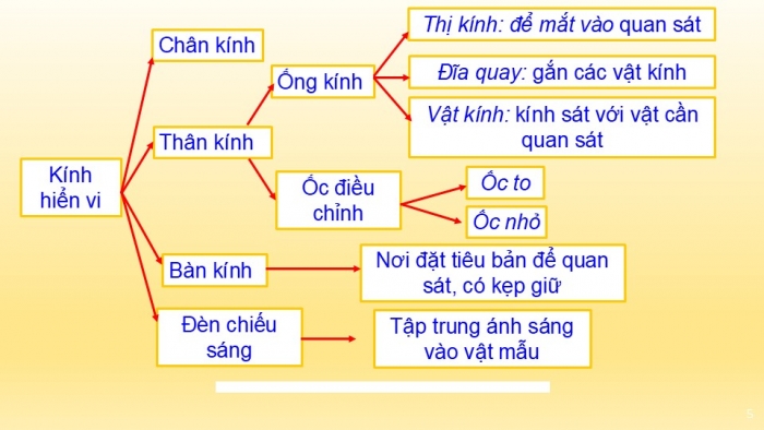 Giáo án PPT KHTN 6 kết nối Bài 4: Sử dụng kính hiển vi quang học