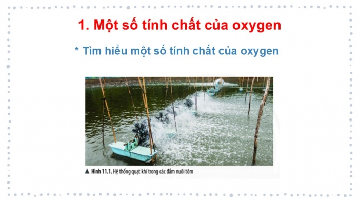 Giáo án PPT KHTN 6 chân trời Bài 9: Oxygen