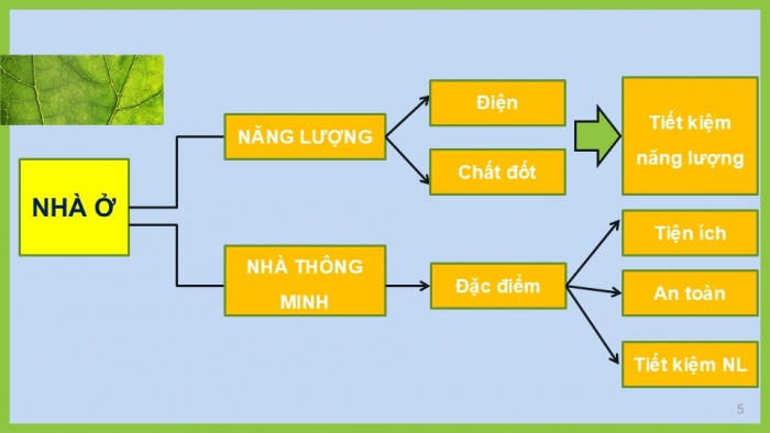 Giáo án PPT Công nghệ 6 chân trời Ôn tập Chương 1