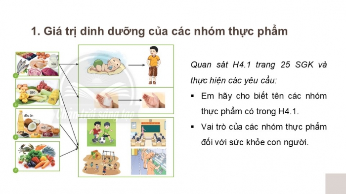 Giáo án PPT Công nghệ 6 chân trời Bài 4: Thực phẩm và dinh dưỡng