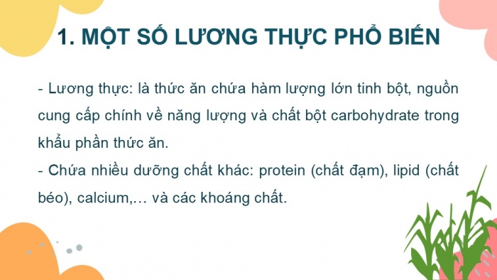 Giáo án PPT KHTN 6 chân trời Bài 14: Một số lương thực – thực phẩm