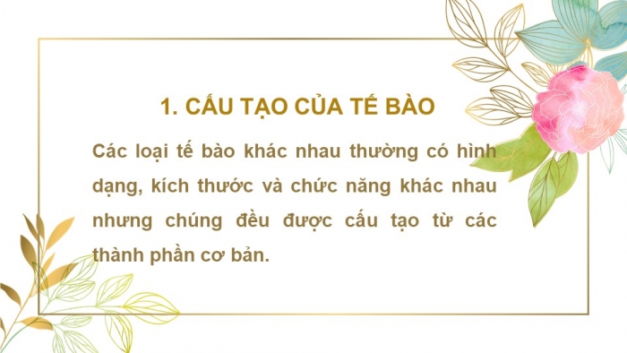 Giáo án PPT KHTN 6 kết nối Bài 19: Cấu tạo và chức năng các thành phần của tế bào