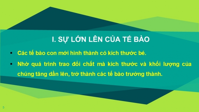 Giáo án PPT KHTN 6 kết nối Bài 20: Sự lớn lên và sinh sản của tế bào