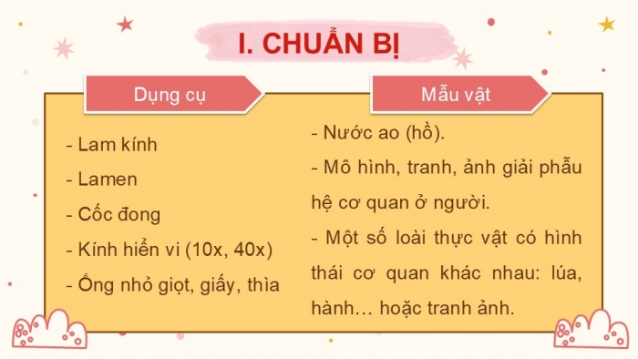 Giáo án PPT KHTN 6 kết nối Bài 24 Thực hành: Quan sát và mô tả cơ thể đơn bào, cơ thể đa bào