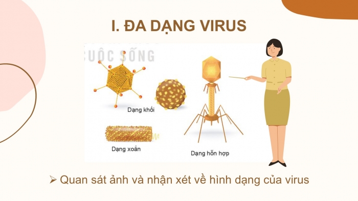 Giáo án PPT KHTN 6 kết nối Bài 29: Virus