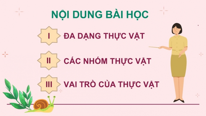 Giáo án PPT KHTN 6 kết nối Bài 34: Thực vật