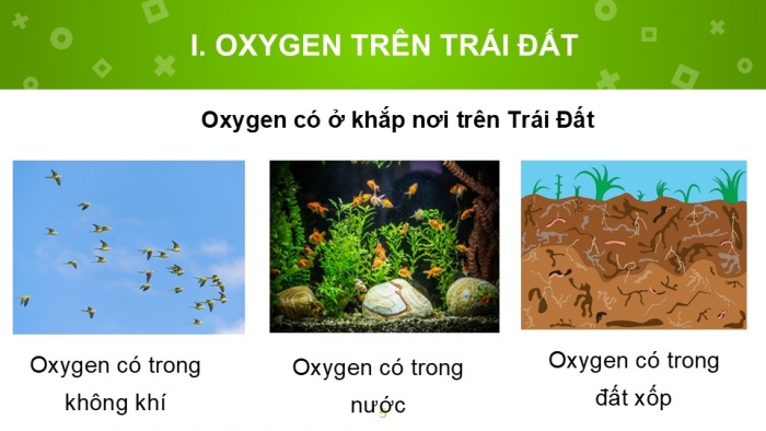 Giáo án PPT KHTN 6 kết nối Bài 11: Oxygen. Không khí