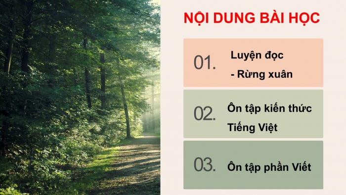 Giáo án PPT dạy thêm Tiếng Việt 5 chân trời bài 4: Bài đọc Rừng xuân. Luyện tập về cách nối các vế trong câu ghép. Viết đoạn mở bài cho bài văn tả người