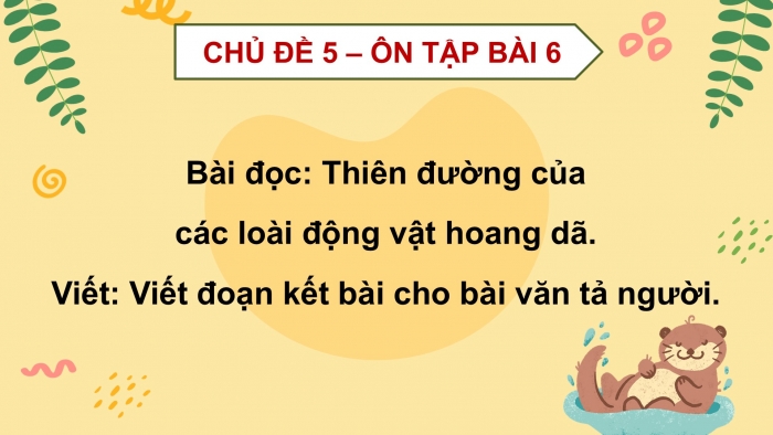 Giáo án PPT dạy thêm Tiếng Việt 5 chân trời bài 6: Bài đọc Thiên đường của các loài động vật hoang dã. Viết đoạn kết bài cho bài văn tả người