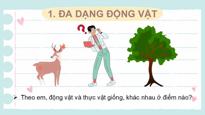 Giáo án PPT KHTN 6 kết nối Bài 36: Động vật