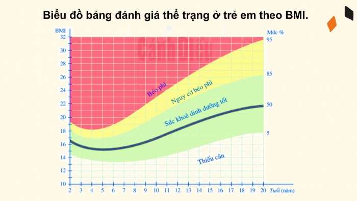 Giáo án PPT Toán 6 cánh diều Thực hành trải nghiệm Chủ đề 2: Chỉ số khối cơ thể (BMI)