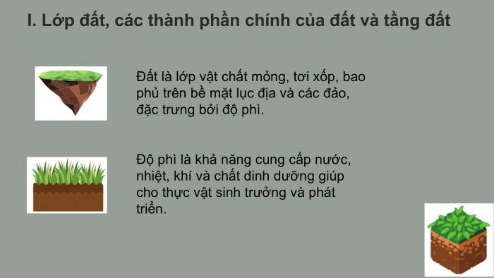 Giáo án PPT Địa lí 6 chân trời Bài 19: Lớp đất và các nhân tố hình thành đất. Một số nhóm đất điển hình