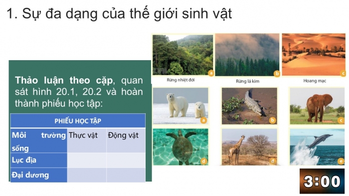 Giáo án PPT Địa lí 6 chân trời Bài 20: Sinh vật và sự phân bố các đới thiên nhiên. Rừng nhiệt đới