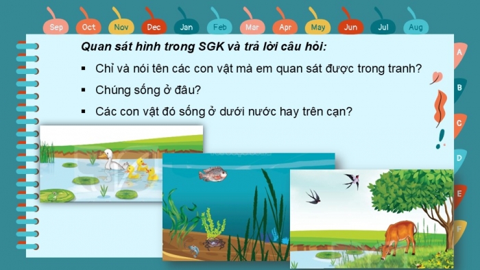 Giáo án PPT Tự nhiên và Xã hội 2 kết nối Bài 17: Động vật sống ở đâu?