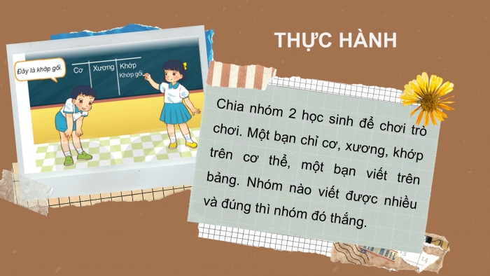 Giáo án PPT Tự nhiên và Xã hội 2 kết nối Bài 21: Tìm hiểu cơ quan vận động