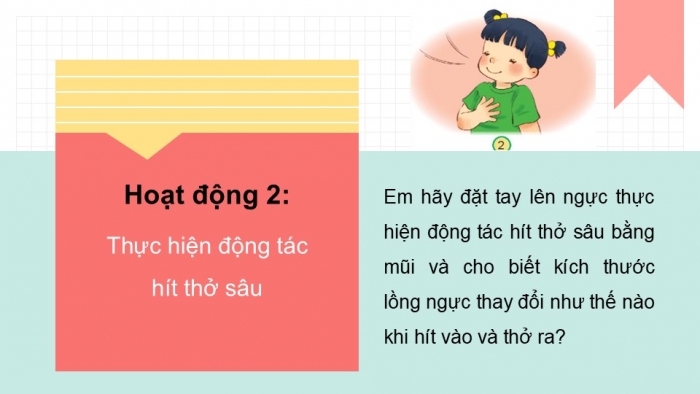 Giáo án PPT Tự nhiên và Xã hội 2 kết nối Bài 23: Tìm hiểu cơ quan hô hấp