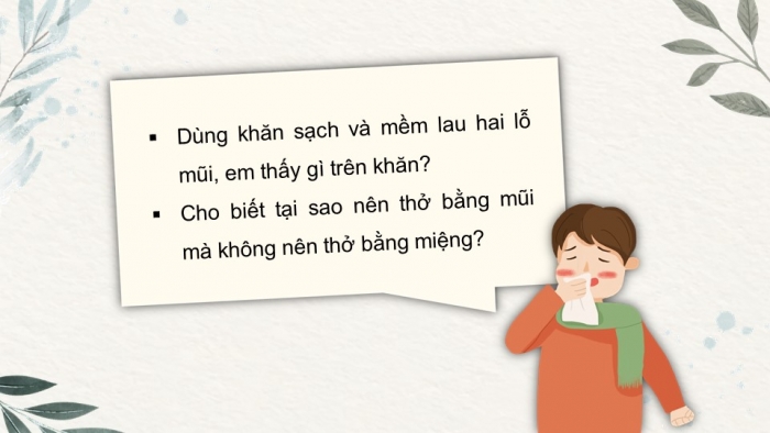 Giáo án PPT Tự nhiên và Xã hội 2 kết nối Bài 24: Chăm sóc, bảo vệ cơ quan hô hấp