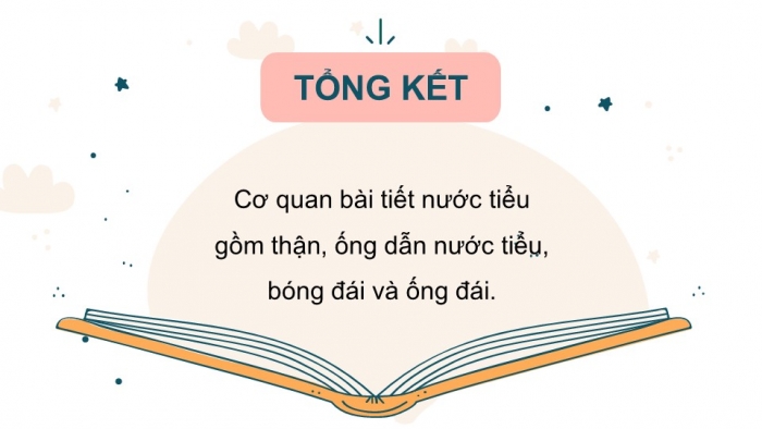 Giáo án PPT Tự nhiên và Xã hội 2 kết nối Bài 25: Tìm hiểu cơ quan bài tiết nước tiểu