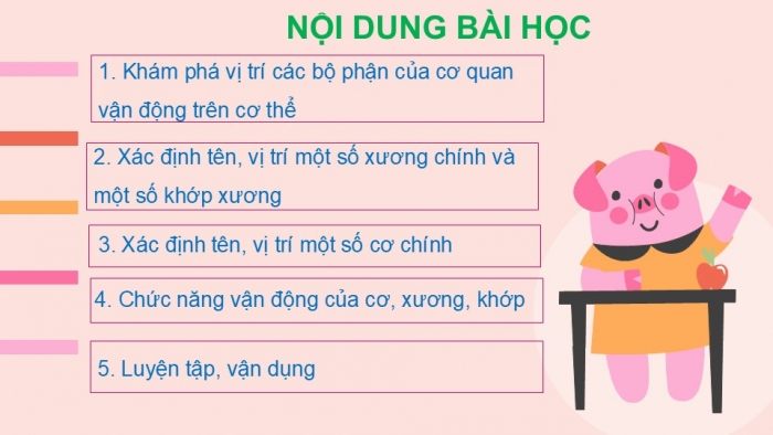 Giáo án PPT Tự nhiên và Xã hội 2 cánh diều Bài 14: Cơ quan vận động