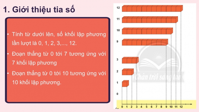 Giáo án PPT Toán 2 chân trời bài Tia số – Số liền trước, số liền sau