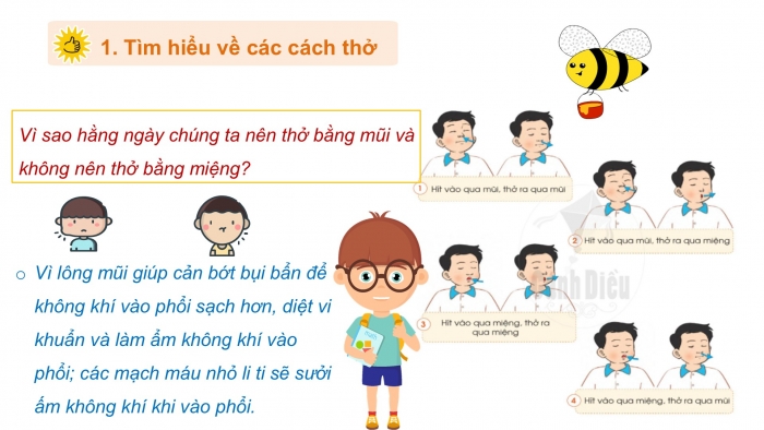 Giáo án PPT Tự nhiên và Xã hội 2 cánh diều Bài 17: Bảo vệ cơ quan hô hấp