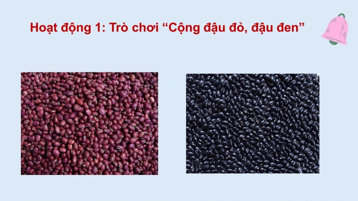 Giáo án PPT Toán 6 chân trời Bài 5 Hoạt động thực hành và trải nghiệm: Vui học cùng số nguyên