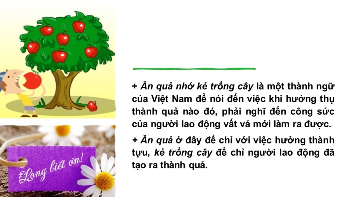 Giáo án PPT Ngữ văn 6 kết nối Bài 2: Biện pháp tu từ, Dấu câu, Đại từ