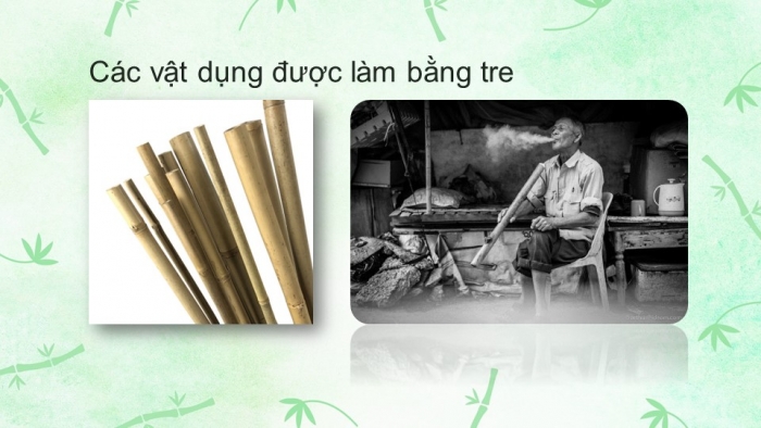 Giáo án PPT Ngữ văn 6 kết nối Bài 4: Cây tre Việt Nam