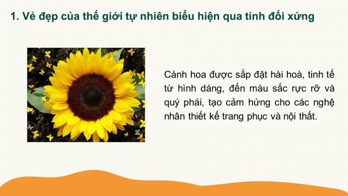 Giáo án PPT Toán 6 chân trời Bài 3: Vai trò của tính đối xứng trong thế giới tự nhiên